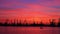 Sunset silhouettes of industrial cranes and cargo ships in Varna port, Bulgaria