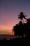 Sunset silhouettes on Waikiki Beach, Oahu, Hawaii