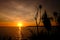 Sunset with silhouettes of wild plants at the foreground, right side. Sun hiding on the left third of the picture. Orange and