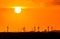 Sunset silhouetting electric windmills and industrial buildings against an orange sky