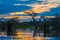 Sunset silhouetting a flooded jungle in Laguna Grande, in the Cuyabeno Wildlife Reserve, Amazon Basin, Ecuador