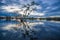 Sunset silhouetting a flooded jungle in Laguna Grande, in the Cuyabeno Wildlife Reserve, Amazon Basin, Ecuador