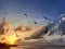 Sunset at Sisal beach in Yucatan Mexico with seagulls in backlight representing tranquility, calm, peace and serenity