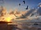 Sunset at Sisal beach in Yucatan Mexico with seagulls in backlight representing tranquility, calm, peace and serenity