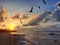 Sunset at Sisal beach in Yucatan Mexico with seagulls in backlight representing tranquility, calm, peace and serenity