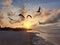 Sunset at Sisal beach in Yucatan Mexico with seagulls in backlight representing tranquility, calm, peace and serenity