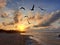 Sunset at Sisal beach in Yucatan Mexico with seagulls in backlight representing tranquility, calm, peace and serenity