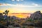 Sunset skies at Joshua Tree National Park in Joshua Tree, California