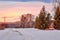 Sunset Sky Over A Calgary Winter Park