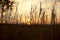 Sunset sky over a hilltop in The Drakensberg South Africa