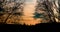 Sunset sky with silhouette of tree, bush with bare branches.