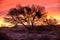 Sunset sky in wild Great Karoo