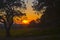 Sunset at a small grove of old oaks Kfar Glikson Israel