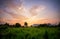 Sunset with small sugar plant in farm