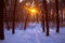 Sunset in a snowy forest, a path in the snow and the rays of the sun through the branches of trees, selective focus