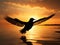 sunset soar: a bird\\\'s elegance in flight