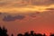 Sunset with some clouds a silhouettes of trees on the horizon