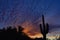 Sunset of the Sonoran Desert