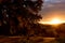 Sunset, southern California hills in autumn, grove of live oaks