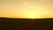 Sunset in the spring field. Sunrise over the steppe in the summer. The sun sets over the horizon.