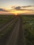 Sunset in the steppe, the road in the middle of the steppe