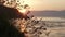 Sunset at strong tidal current Saltstraumen in Norway with grass in the foreground