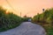 Sunset on sugarcane plantation with van driving on asphalt road