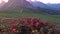 Sunset in summer on Passo di Giau with flowers on foreground, Dolomites, Italy, from bottom to top