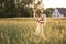 Sunset in summer.Rural life.A young woman in the field throws a hat. Rustic style