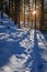 Sunset and sunbeam in snowy forest at winter