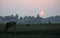 Sunset in Sundarbans region in India