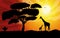 Sunset or Sunrise in Africa with the silhouettes of trees, grass, flying birds, giraffes, national home and native. The beautiful