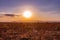 Sunset Sunrise Landscapes Nature Grassland Savanna Nyambene Hills Meru National Park Meru County Kenya East Africa