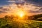 Sunset or sunrise in a spring field with green grass, willow trees and cloudy sky