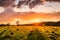 Sunset or sunrise in a spring field with green grass, willow trees and cloudy sky