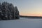 Sunset in taiga forest in wintertime
