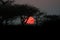 Sunset through Thorn Trees in Africa