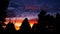 Sunset thru pines and aspens