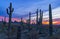 Sunset Time In North Scottsdale, Arizona