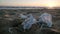 Sunset timelapse of sea medical waste,face mask,people,covid19 pollution damage