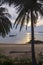 Sunset Tioman Island palm