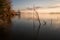 Sunset a Trasimeno lake Umbria, Italy, with fishing net poles and trees on perfectly still water