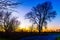 Sunset through a tree in Calvert Vaux Park
