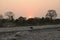 sunset upon the tree line at jayanti river bank