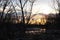 Sunset through the trees on the Boise river