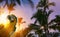 Sunset in the tropic summer holiday on tropical palm beach banner design with copy space