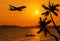 Sunset on tropical beach and coconut palm trees with silhouette airplane flying over