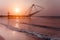 Sunset at tropical beach. Ocean coast landscape with chinese fishing nets silhouette at Cochin Kochi. South India, Kerala,