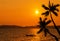 Sunset on tropical beach with silhoutte coconut palm trees and silhoutte fisherman boat