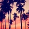 Sunset Tropical Island Coconut Palm Tree Vacation Concept